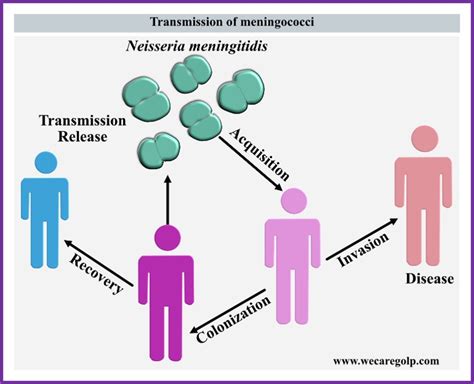 incubation period for meningococcal disease